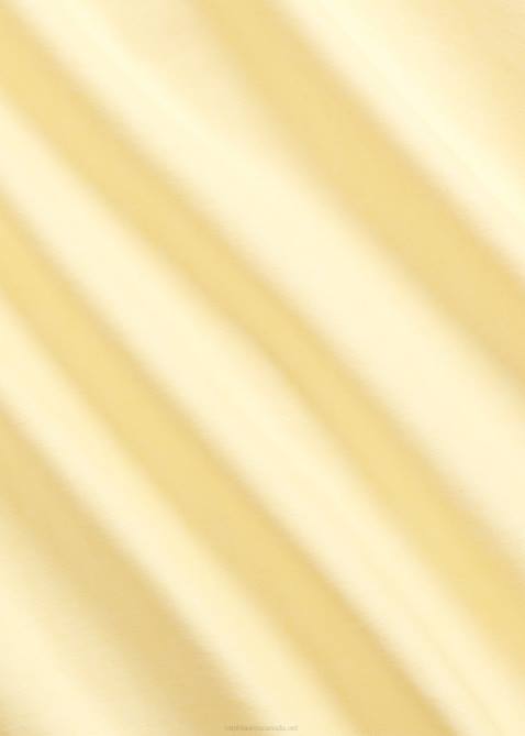 Men Ralph Lauren The Iconic Oxford Shirt-All Fits 4DJ28374 Yellow