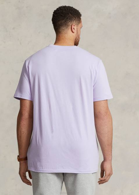 Men Ralph Lauren Jersey V-Neck T-Shirt 4DJ21415 Flower Purple